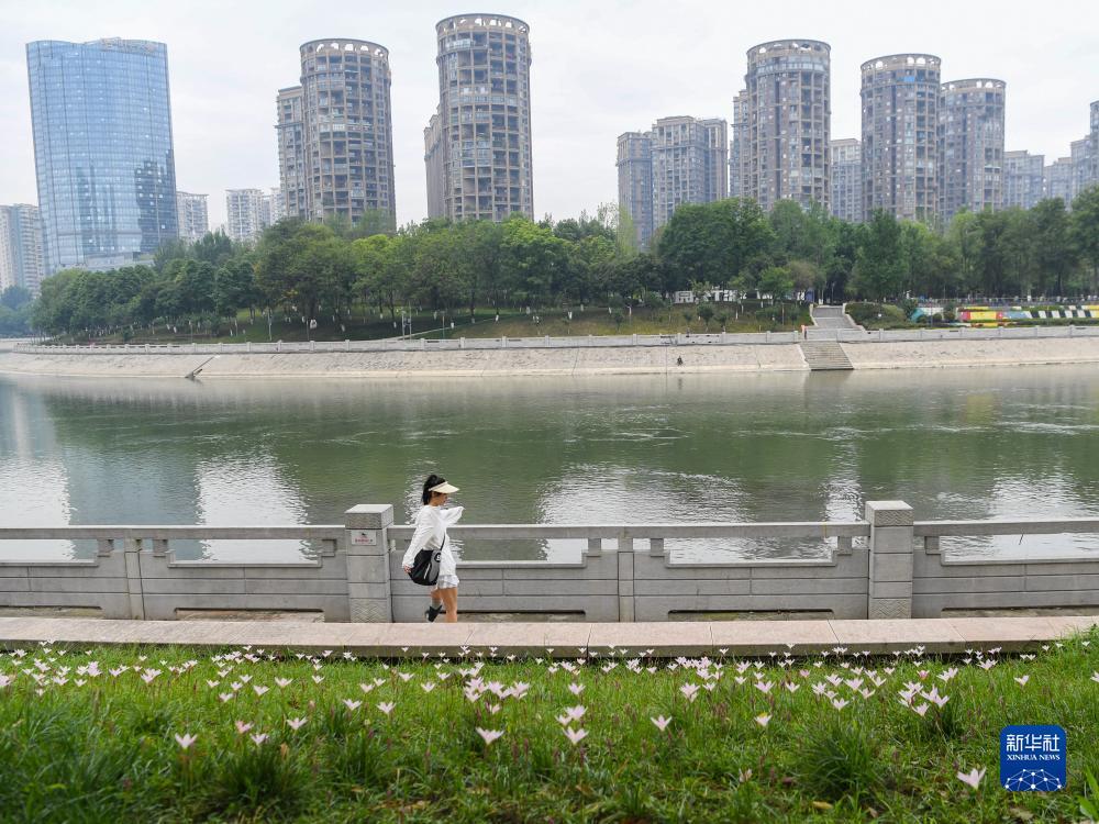 棋牌游戏大厅桥牌